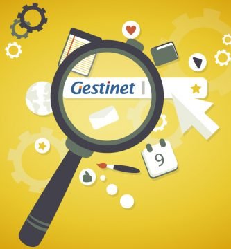 posicionament google Gestinet